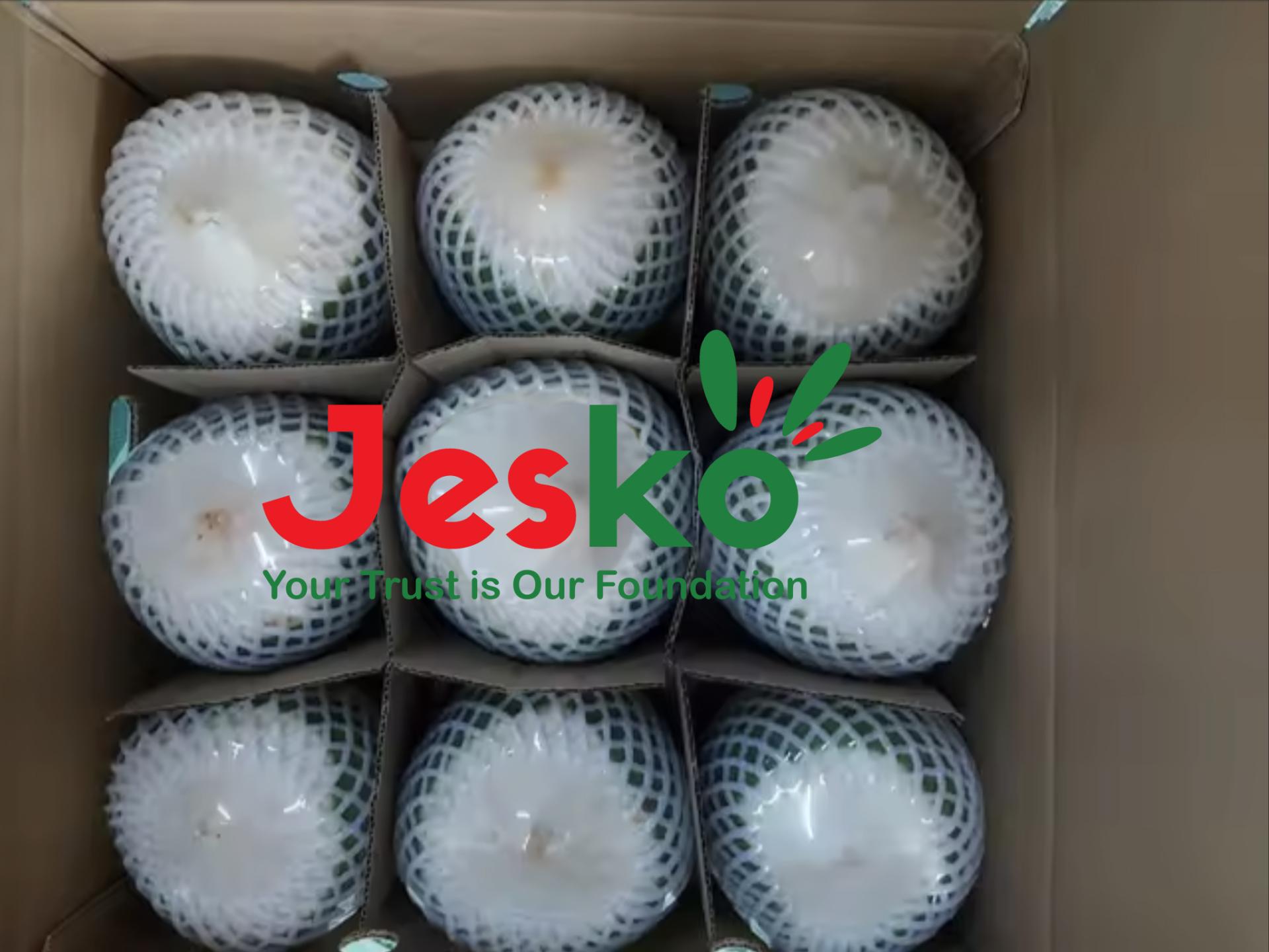 www.TheJesko.com