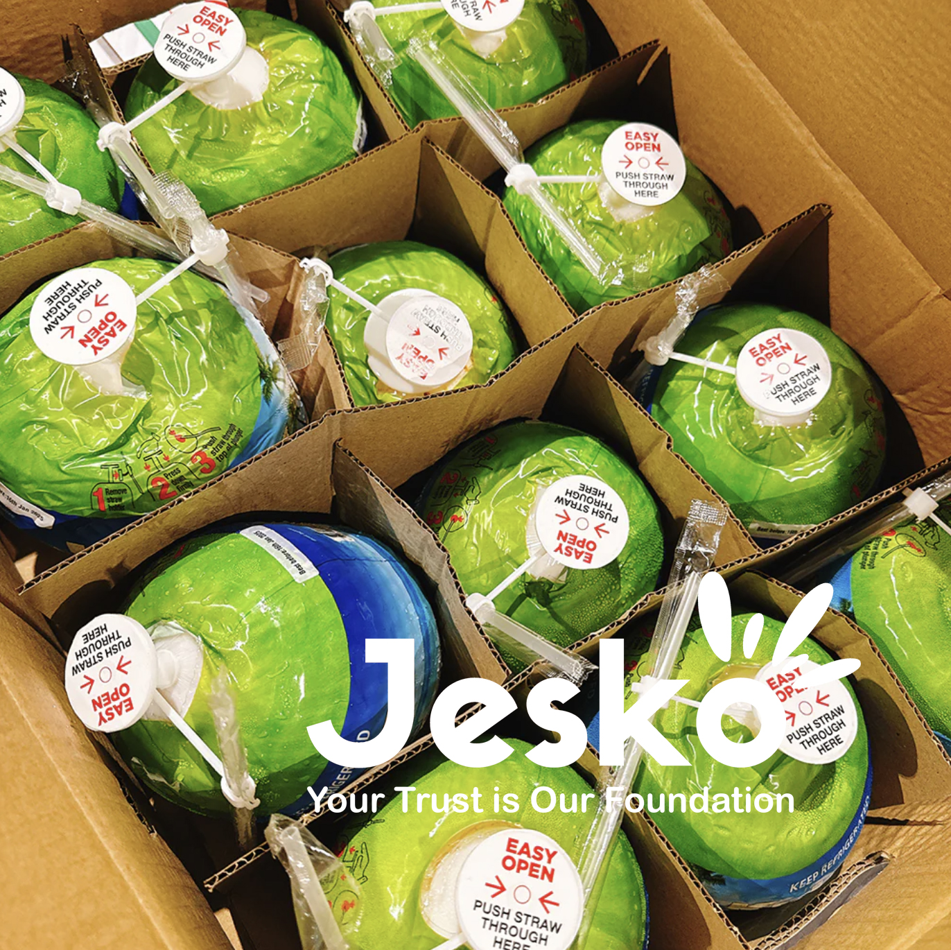 www.TheJesko.com